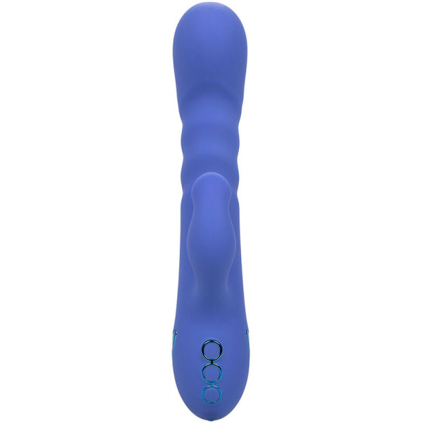 CALIFORNIA EXOTICS - VIBRATEUR  SUCKER LA LOVE BLEU PAR CALIFORNIA DREAMING