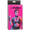 CALIFORNIA EXOTICS - EUPHORIA COLLIER AVEC LAISSE CHAÎNE