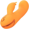 CALEXOTICS - VIBRATEUR MONTECITO MUSE LAPIN ORANGE PAR CALIFORNIA DREAMING