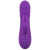 CALEXOTICS - VIBRATEUR MANHATTAN BEACH MARVEL RABBIT VIOLET PAR CALIFORNIA DREAMING