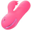 CALEXOTICS - VIBRATEUR SACRAMENTO SWEETIE LAPIN ROSE PAR CALIFORNIA DREAMING