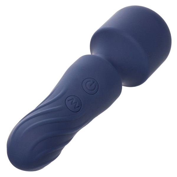 CALEXOTICS - CHARISMA CHARM MASSEUR 12 FONCTIONS VIOLET