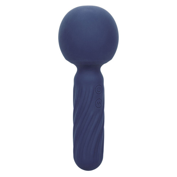 CALEXOTICS - CHARISMA SEDUCTION MASSEUR 12 FONCTIONS 17,75 CM X 6,25 CM VIOLET