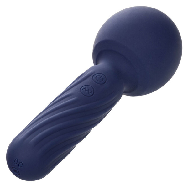 CALEXOTICS - CHARISMA SEDUCTION MASSEUR 12 FONCTIONS 17,75 CM X 6,25 CM VIOLET